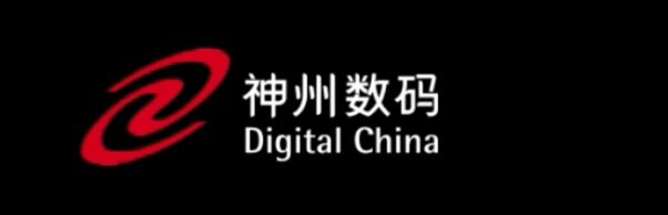 神州数码 Logo