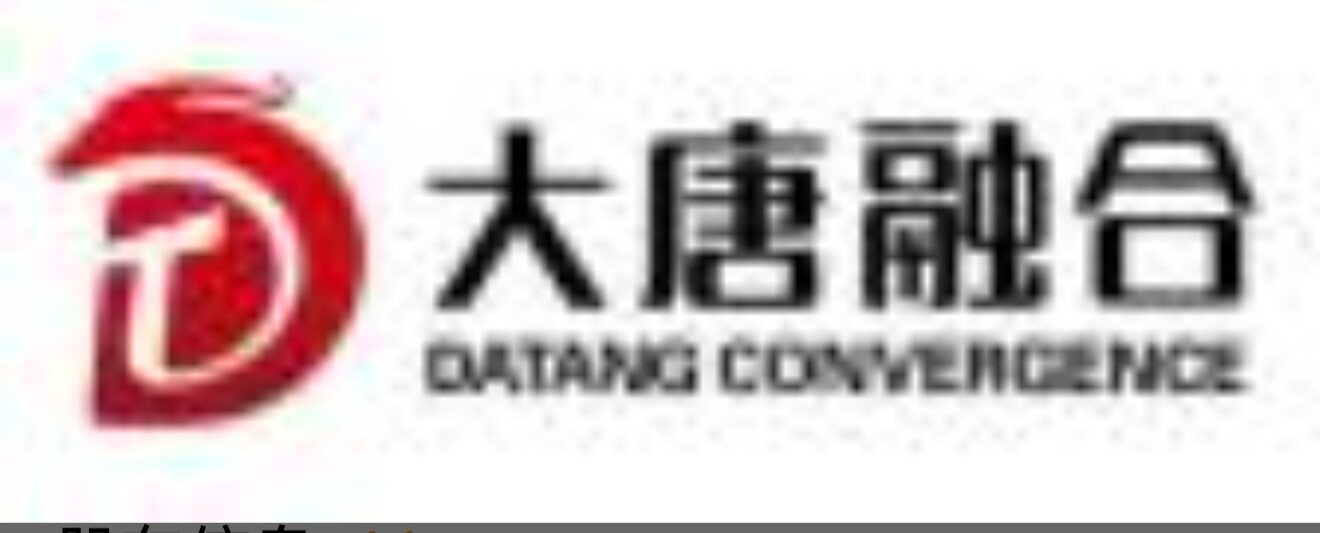 大唐融合 Logo
