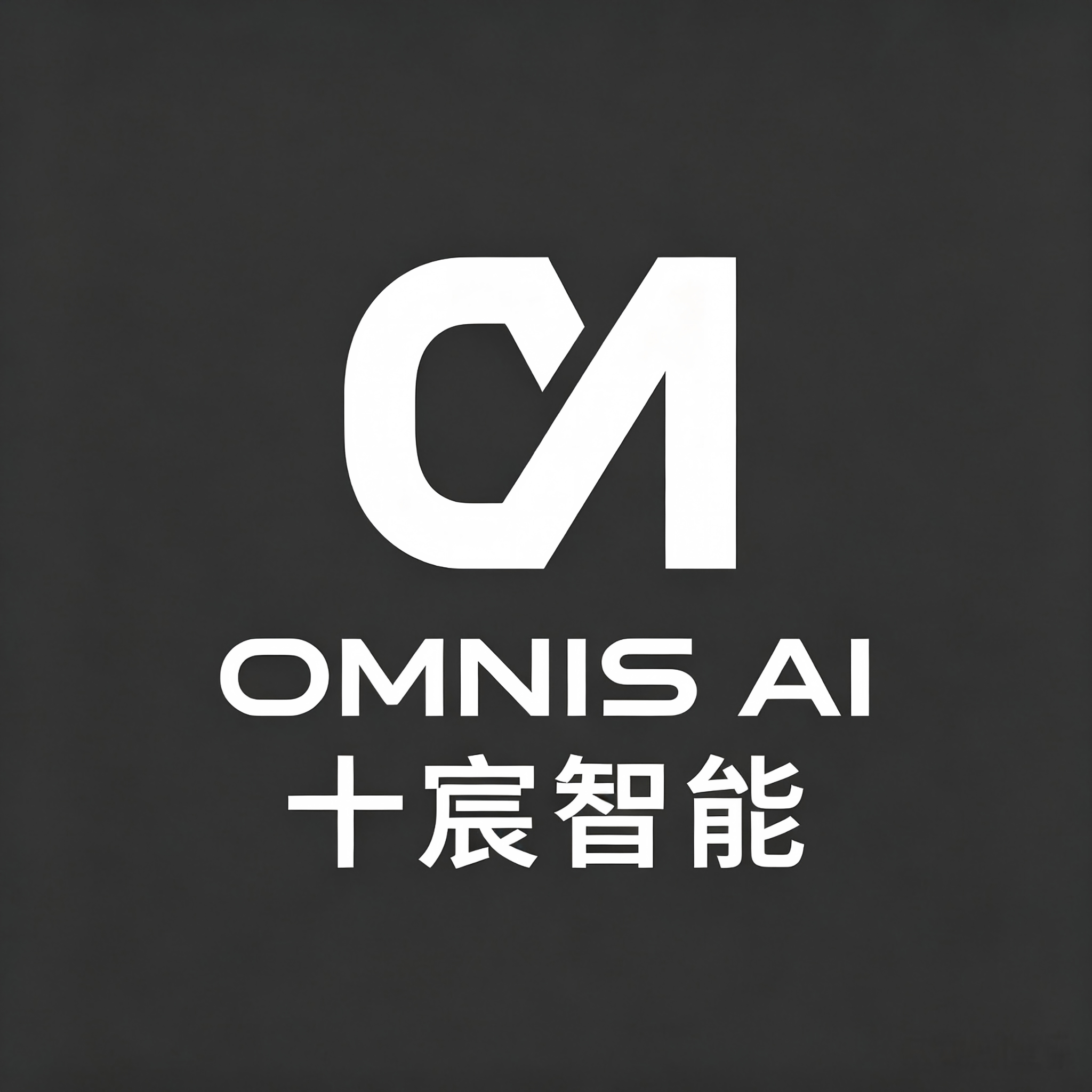 OMNIS AI 十宸智能 Logo