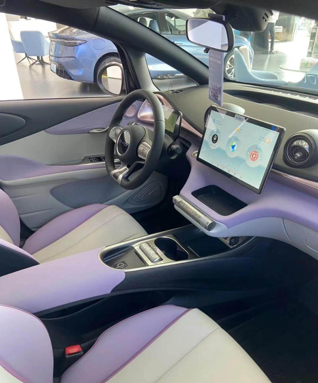 BYD Dolphin - EDR Removal Guide for Vehicle Accident Data Recording System