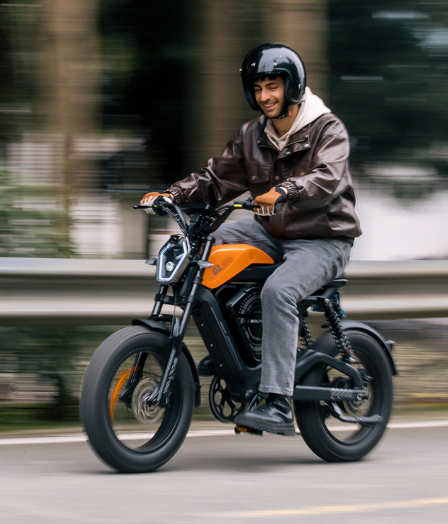 Electric mobility products