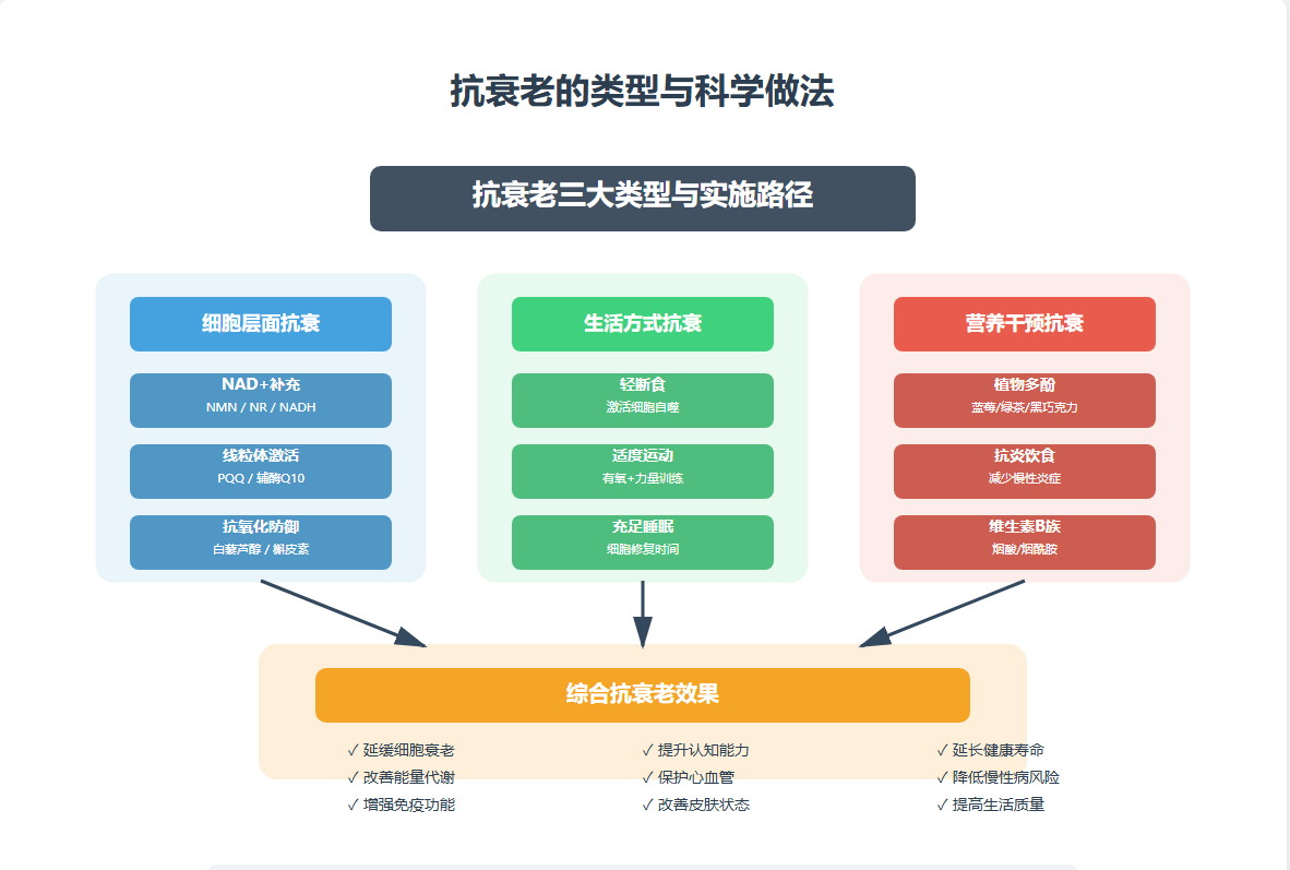 NAD+抗衰老全攻略：科学揭秘让你年轻10岁的细胞密码