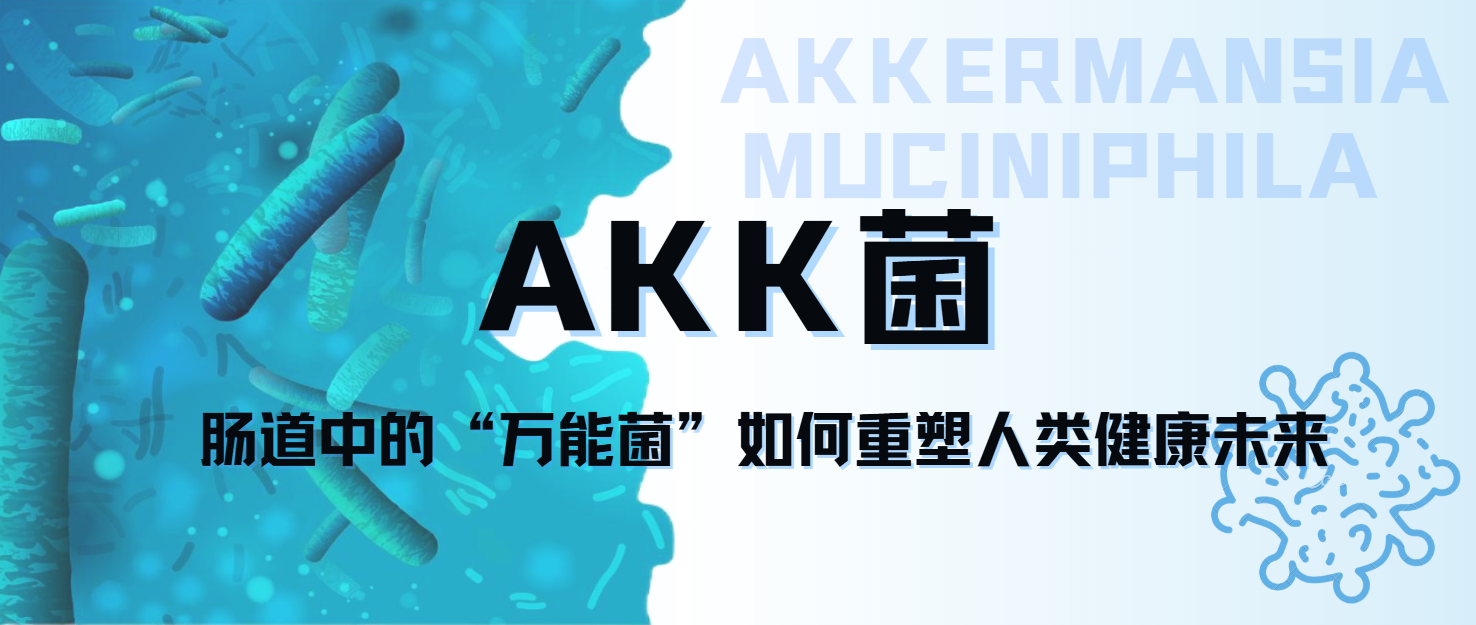 AKK益生菌为何被誉为下一个新生代益生菌