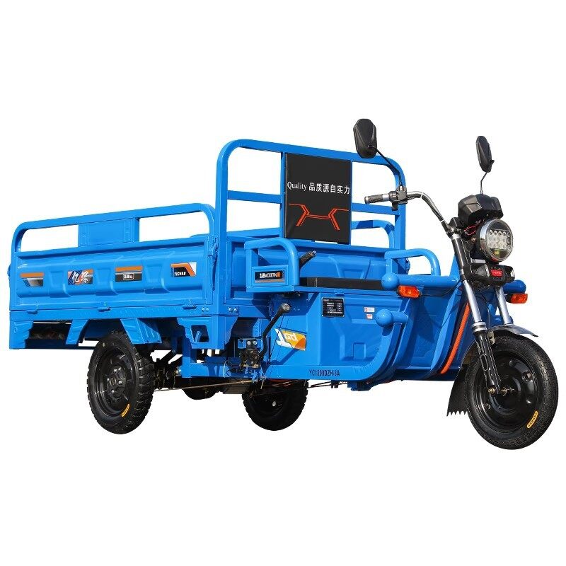 Electric Tricycle
