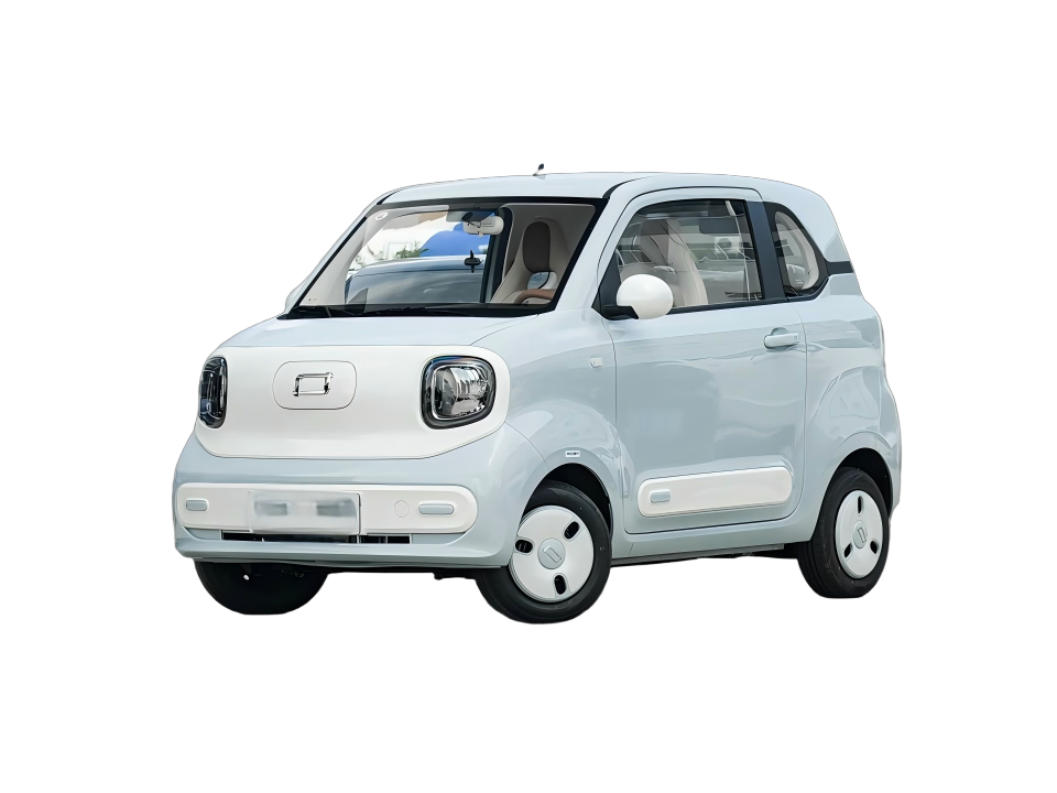 Electric Mini Car