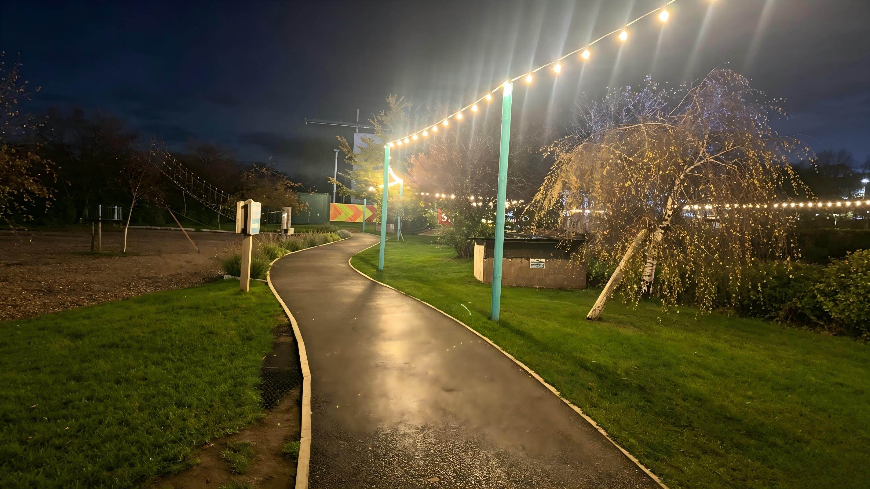 When the Factory Said No – A Festoon Cable Solution