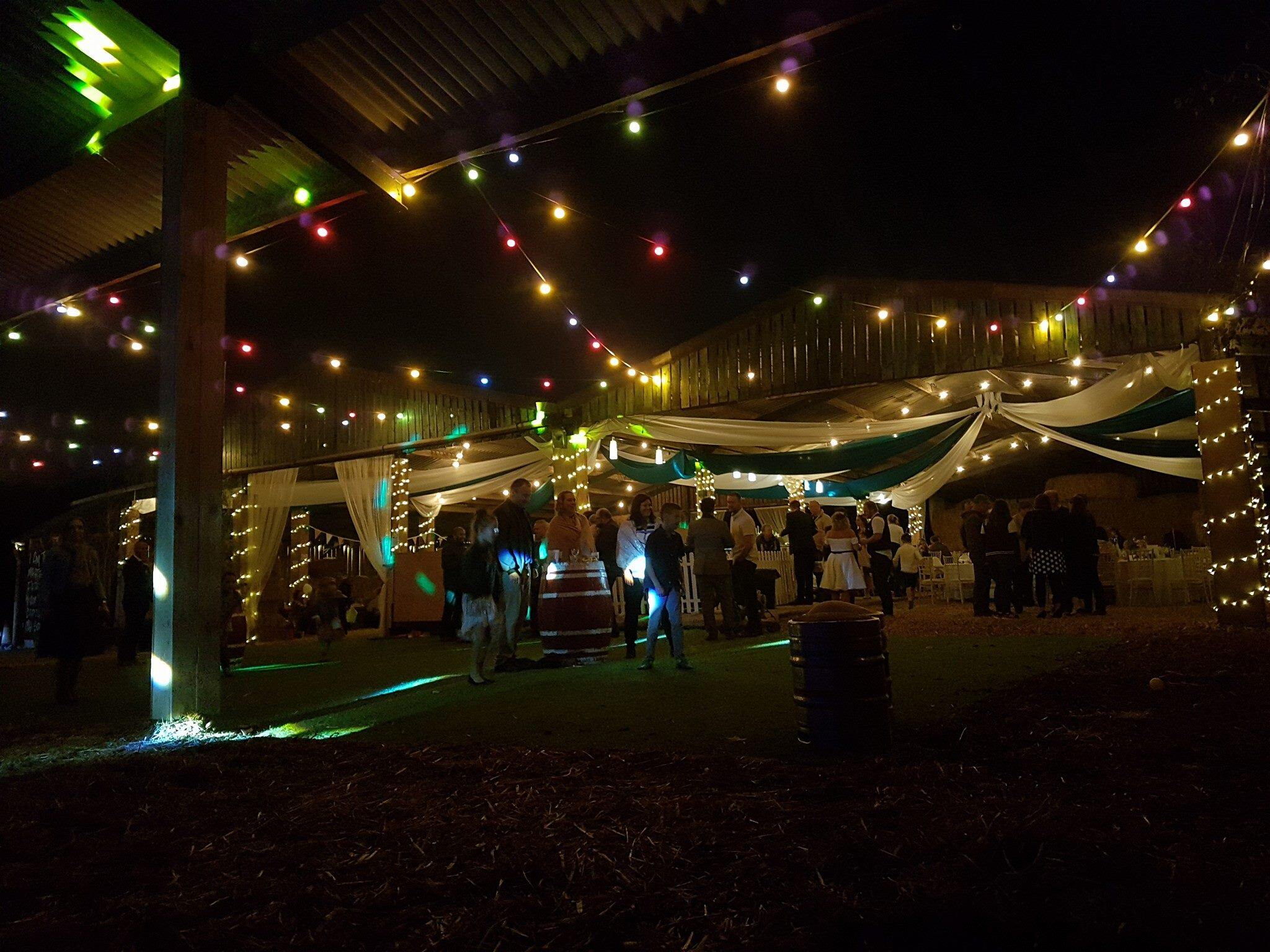 Christmas Light Festival