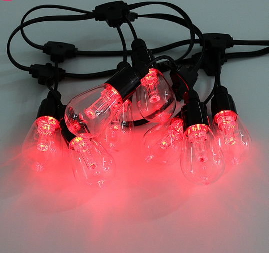 LED Festoon Bulbs