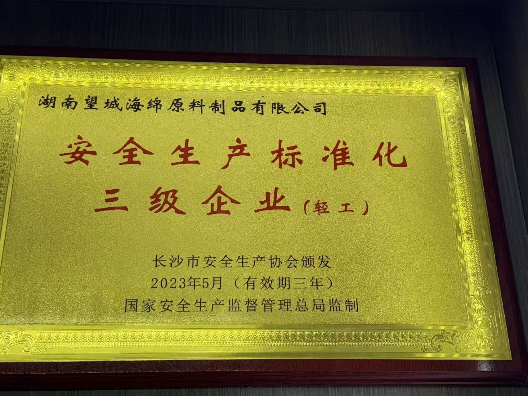 安全生产标准化三级企业