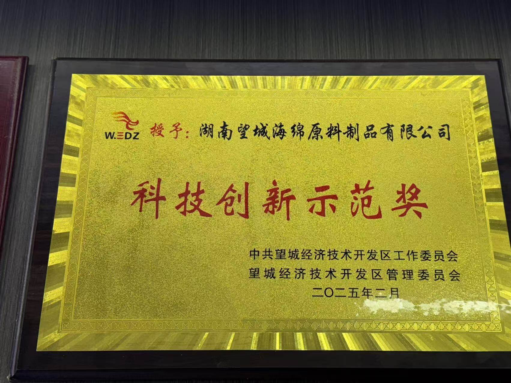 科技创新示范奖