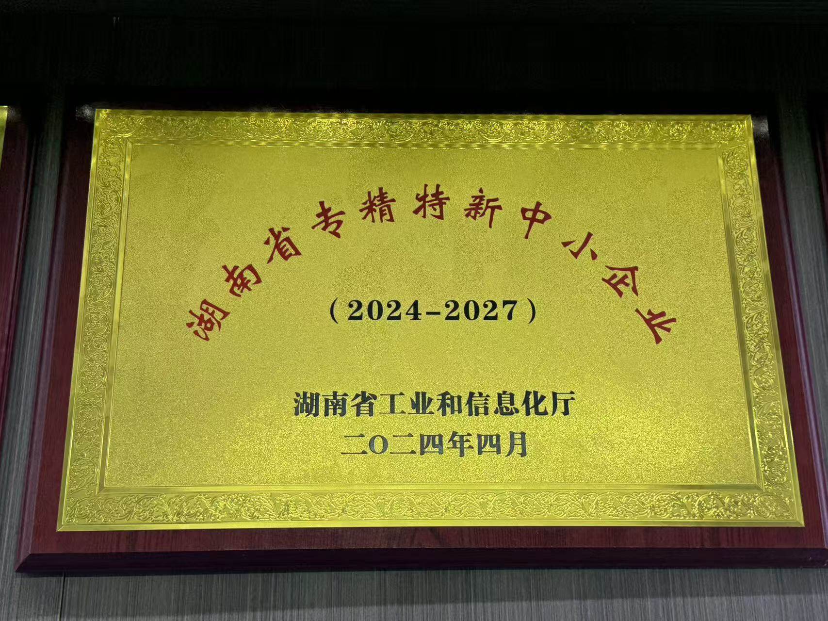 湖南省专精特新中小企业