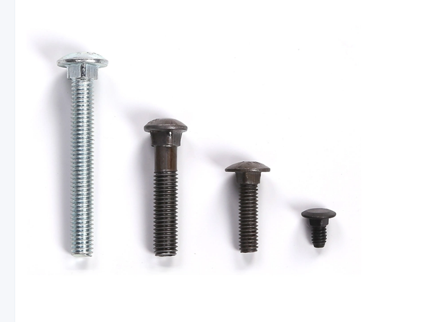 Carriage Bolt