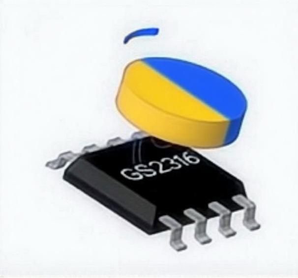 GS2316