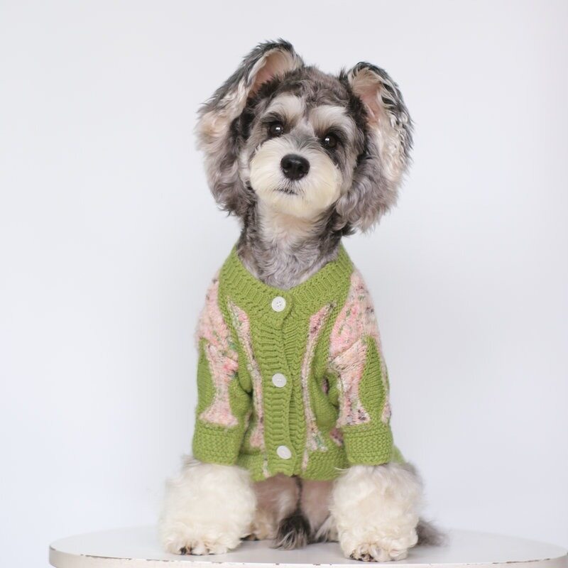 Mixed Color Marled Green Trim Matching Human & Dog Knit Sweater Family Set 4
