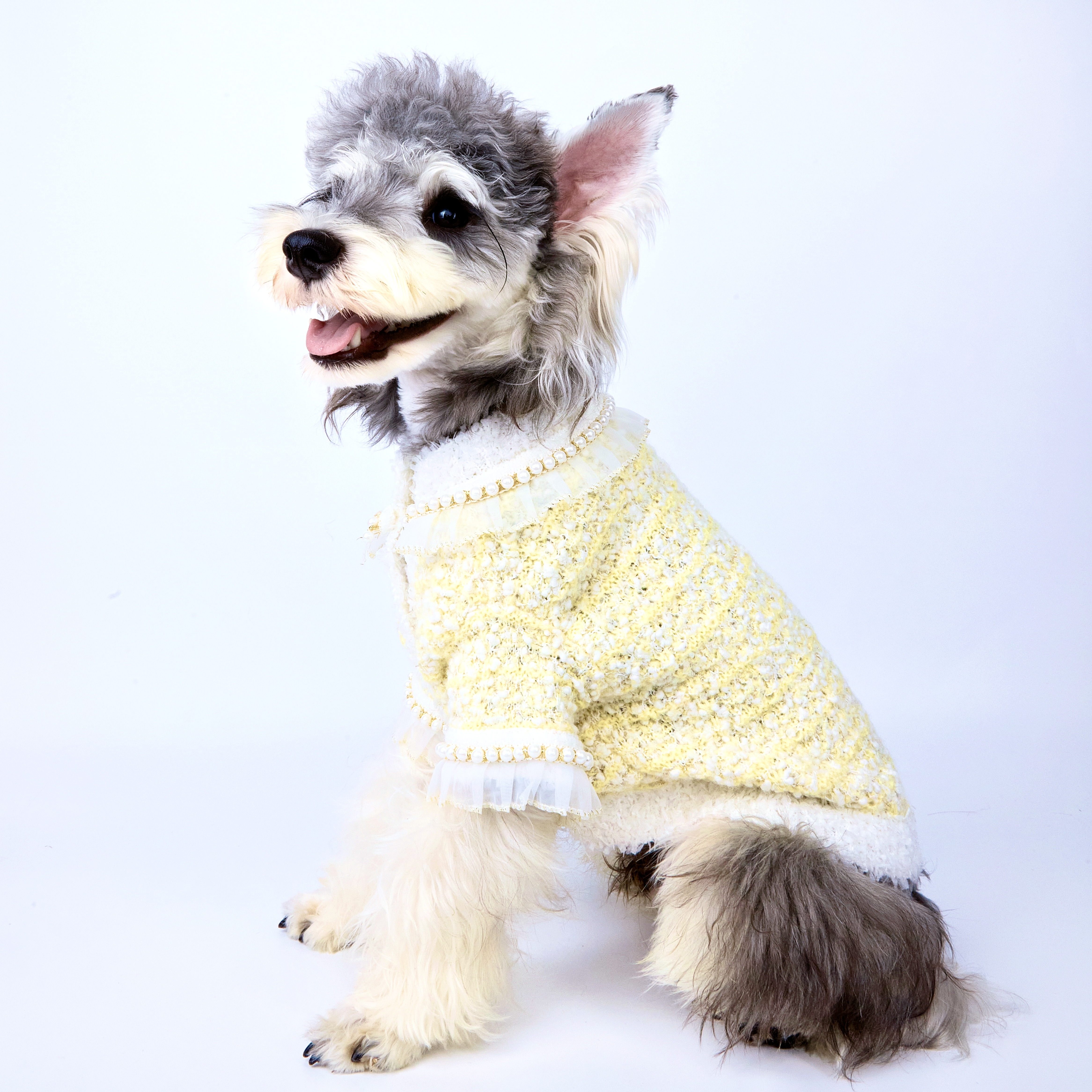 Chanel-Style Noble Pet Sweater