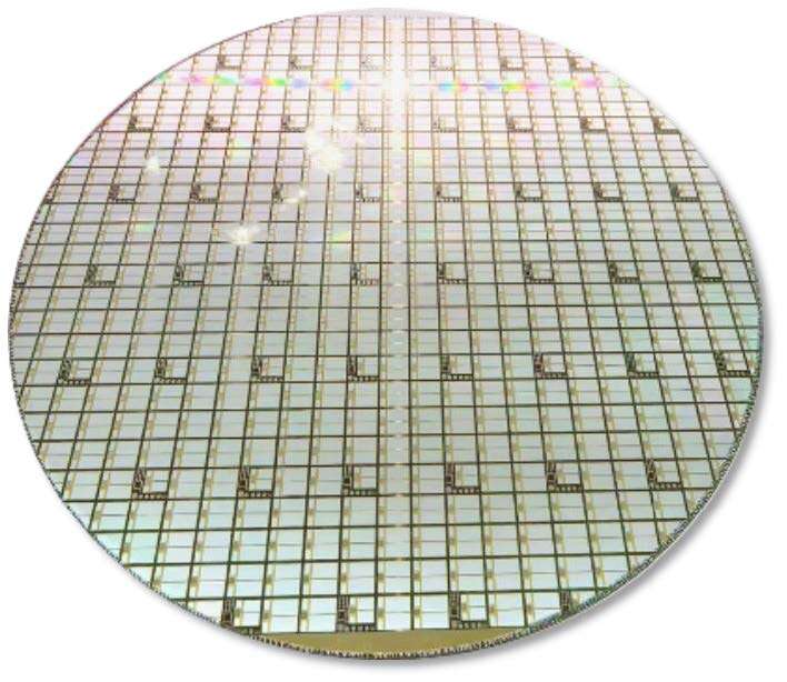 SiC Chips