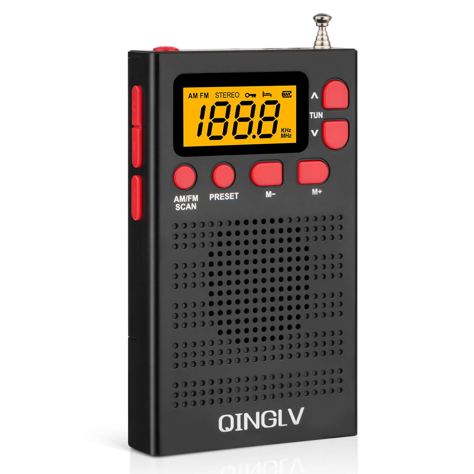 RUIDIOR Digital Radio