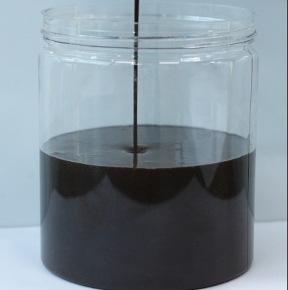 Squid Paste