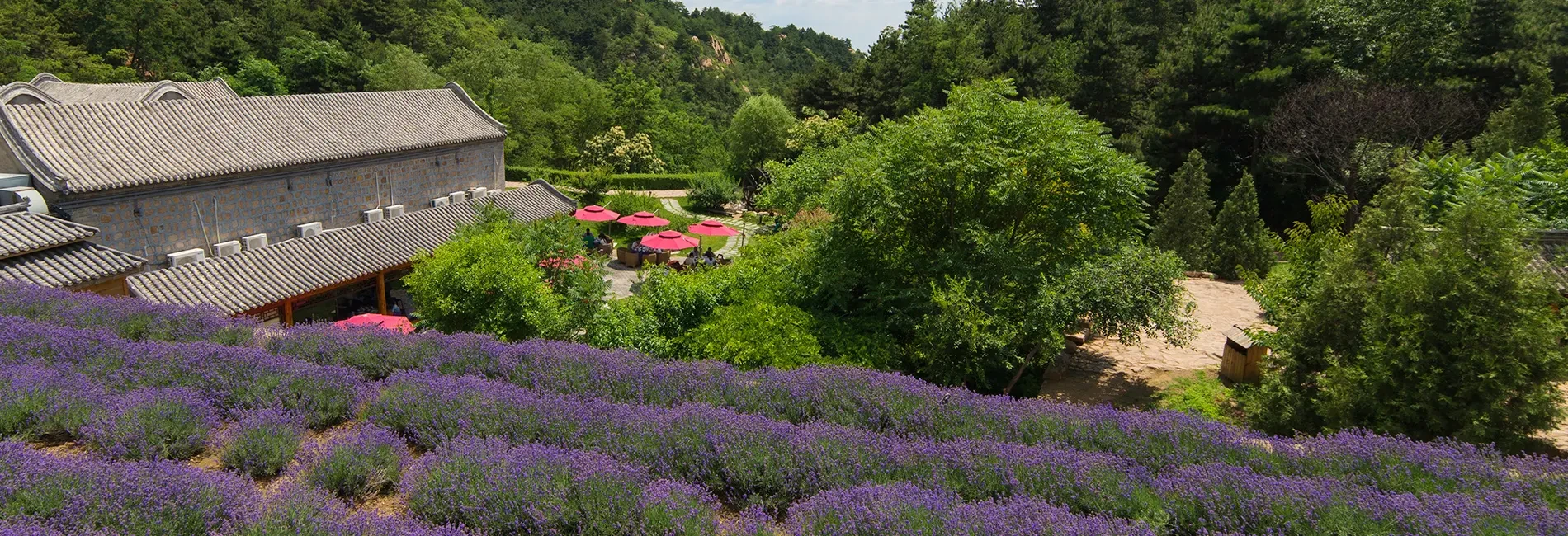 云峰山场景