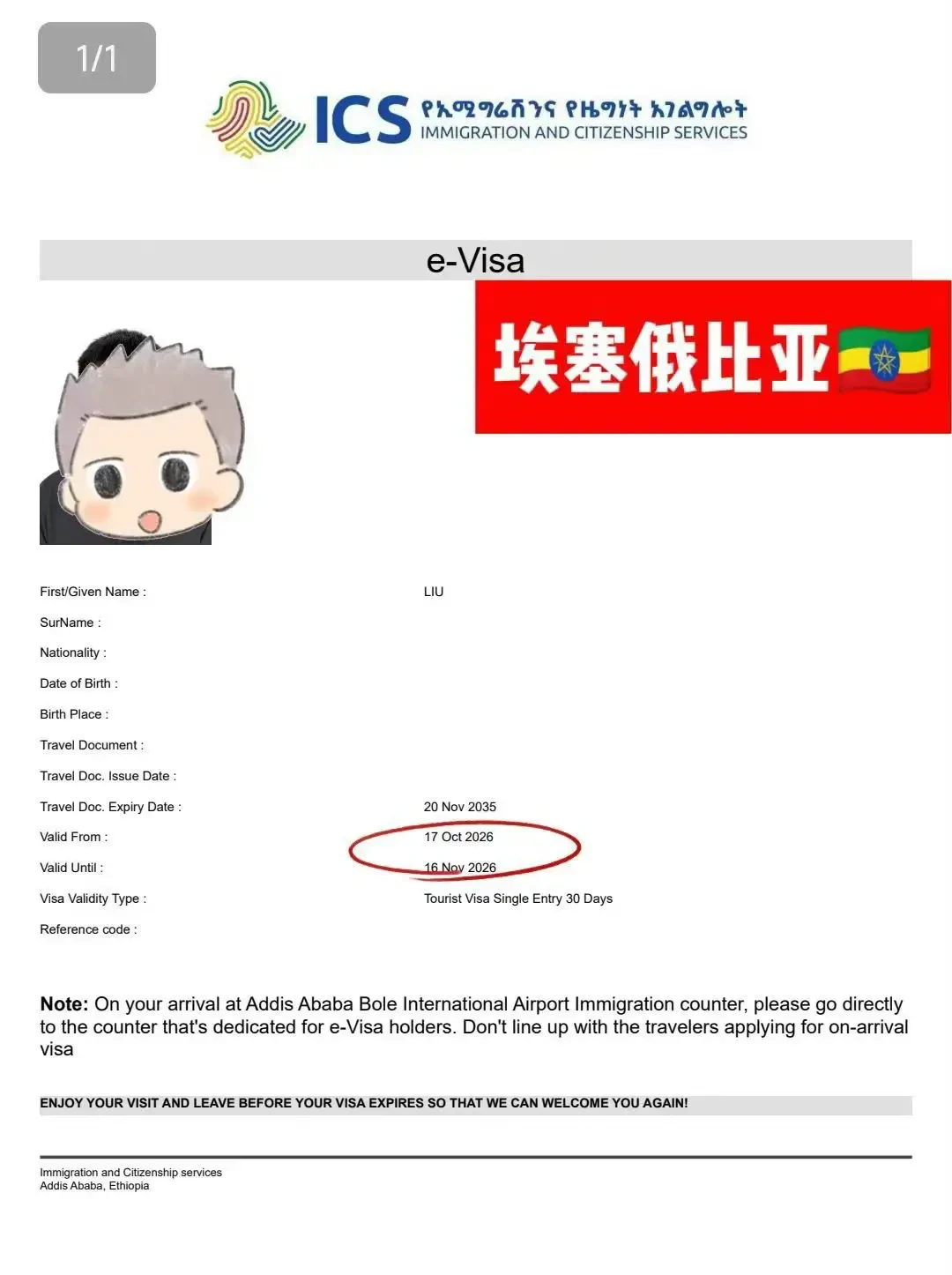 Ethiopia Travel E-Visa · Single Entry Visa Grant Notice