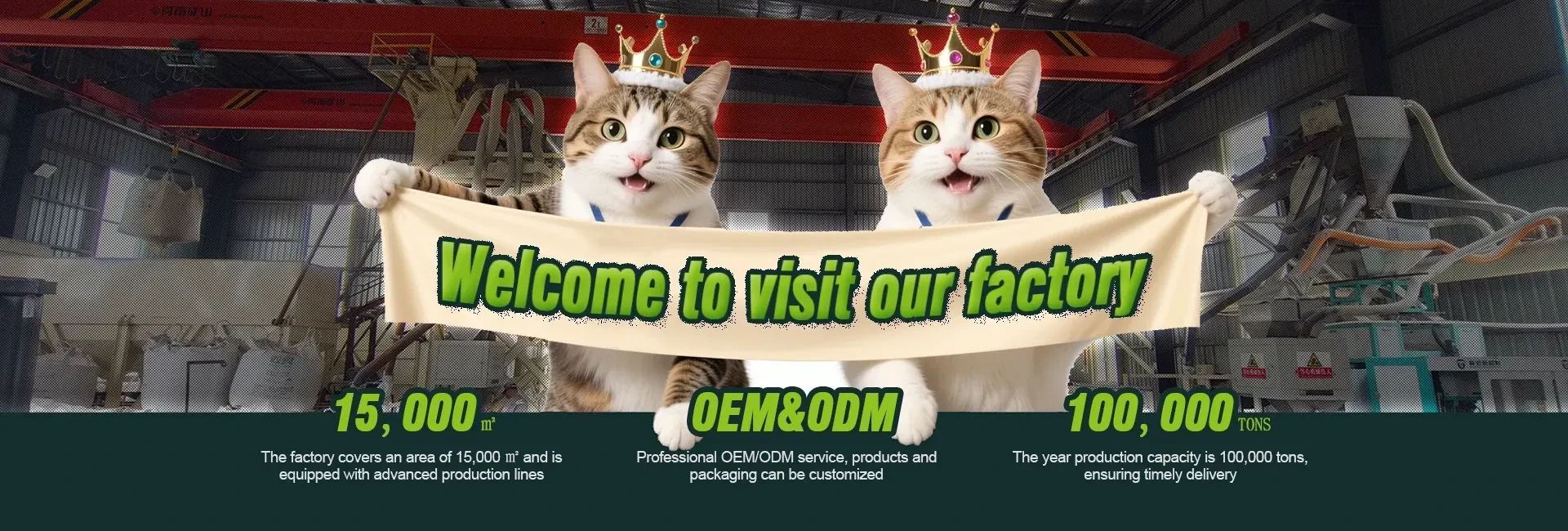 How to Choose a Cat Litter OEM/ODM Manufacturing Partner