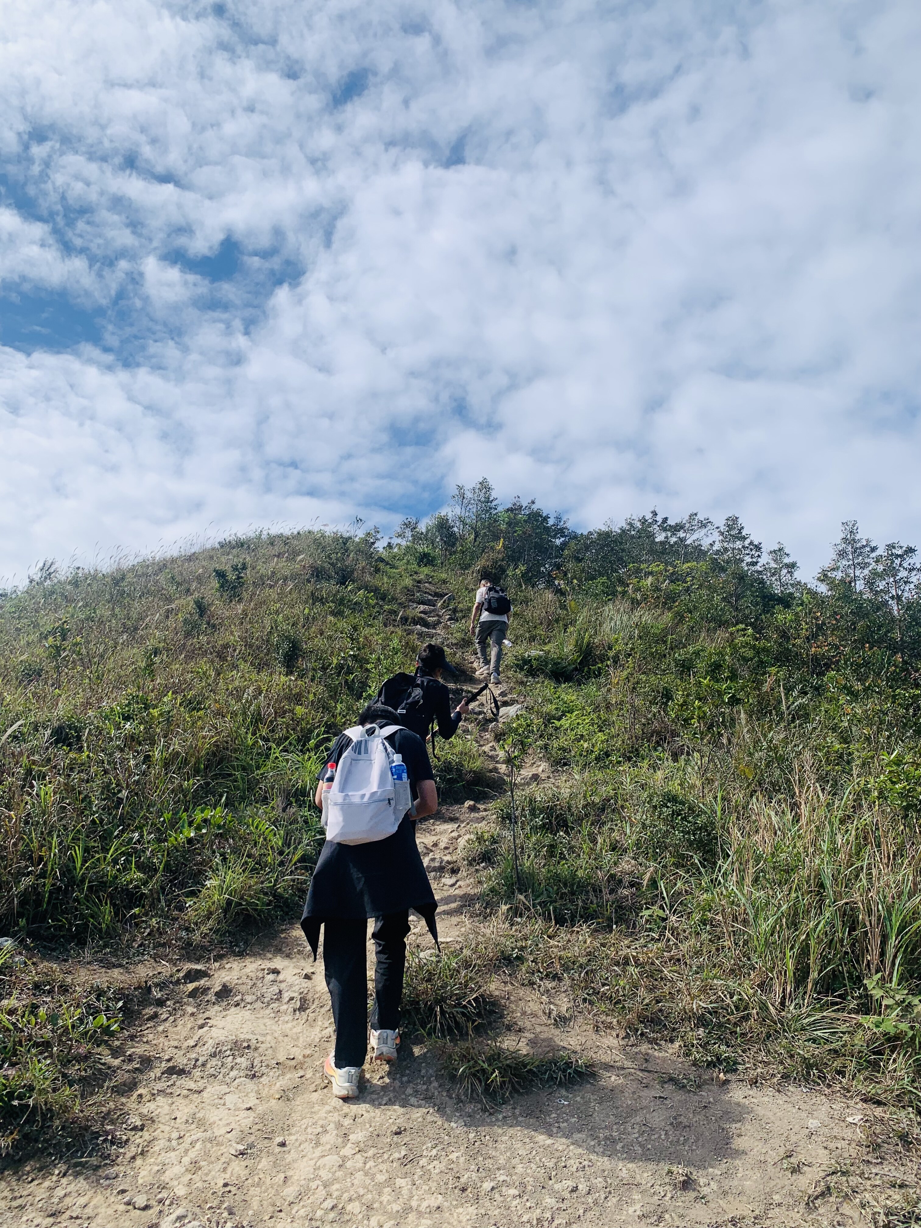 Hikers climbing up grassy mountain trail