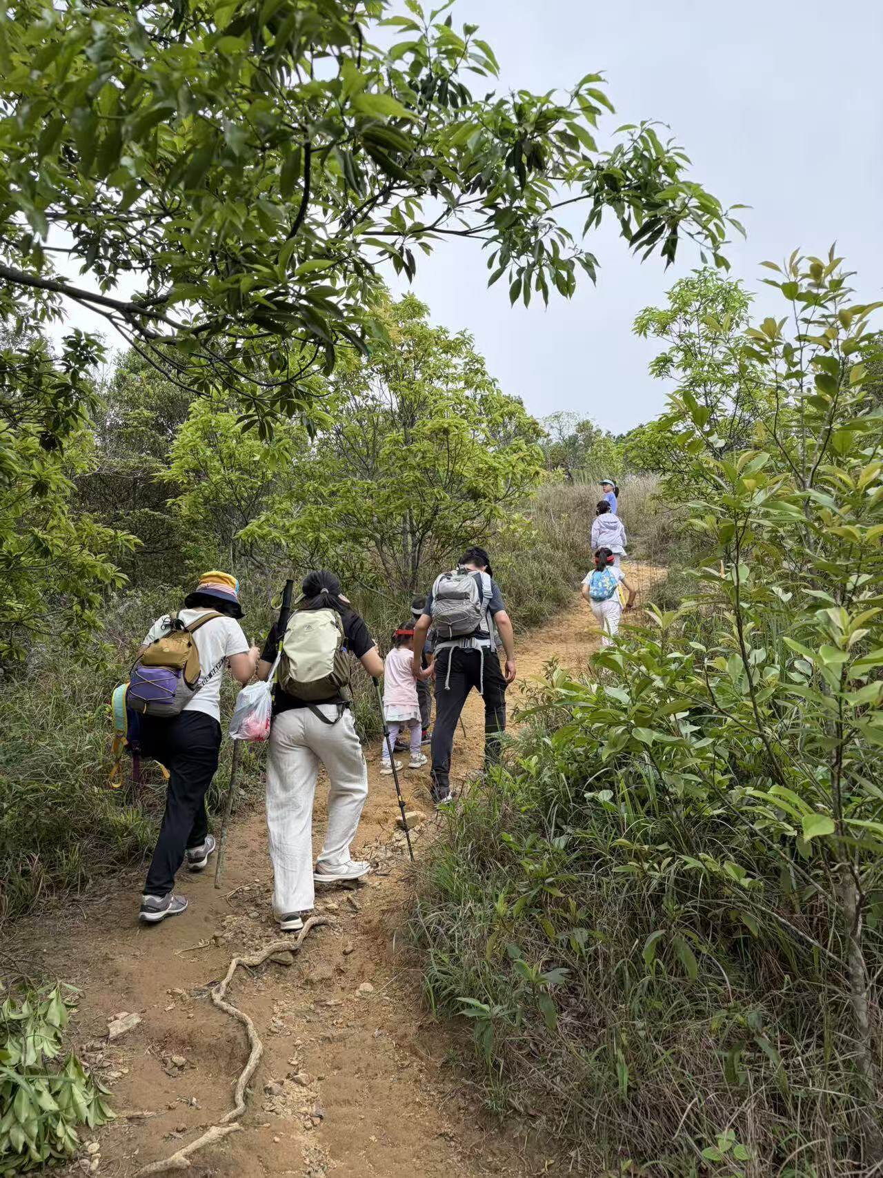 Group hiking through forest trail with children