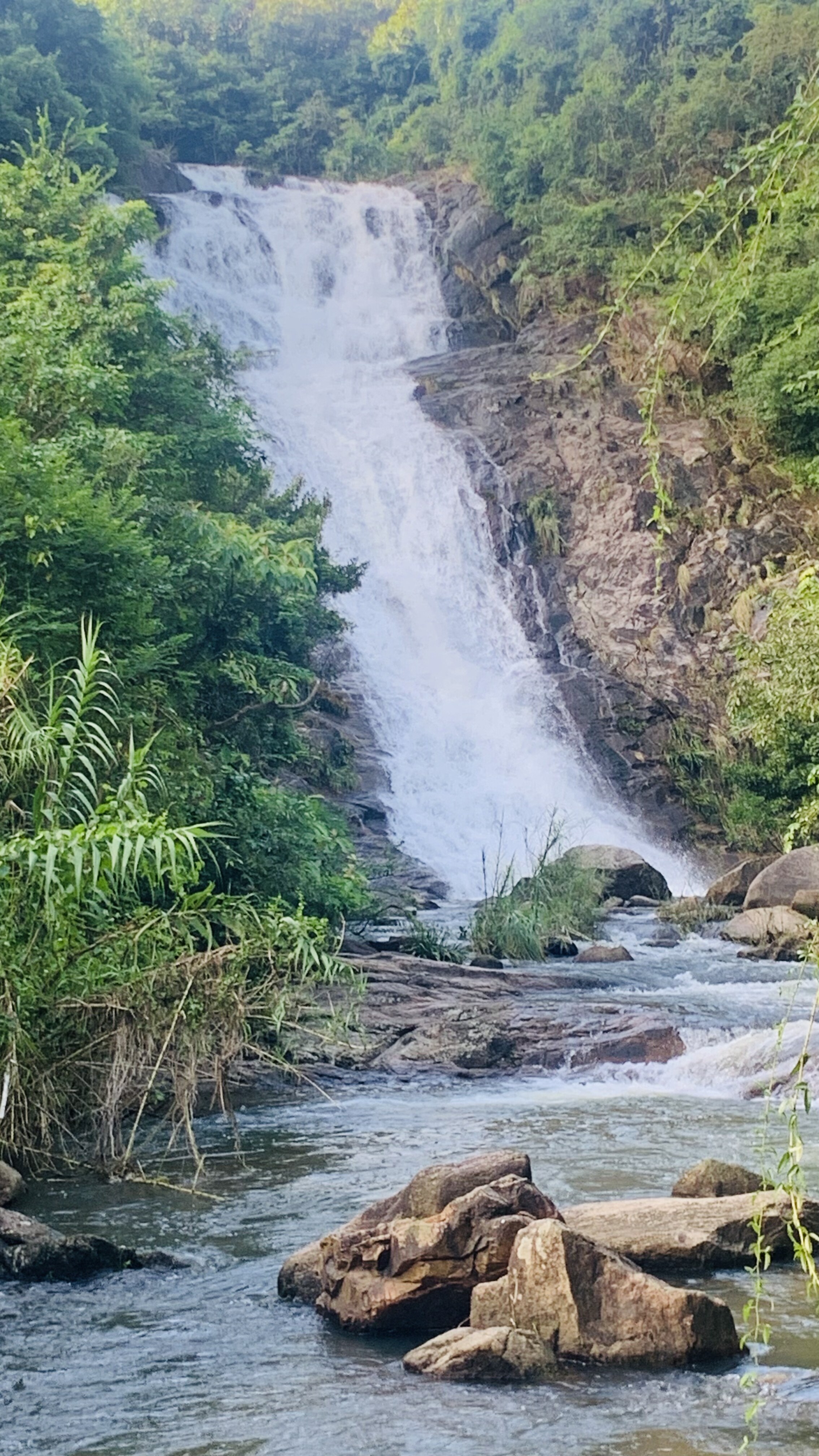 Waterfall cascading through lush green forest