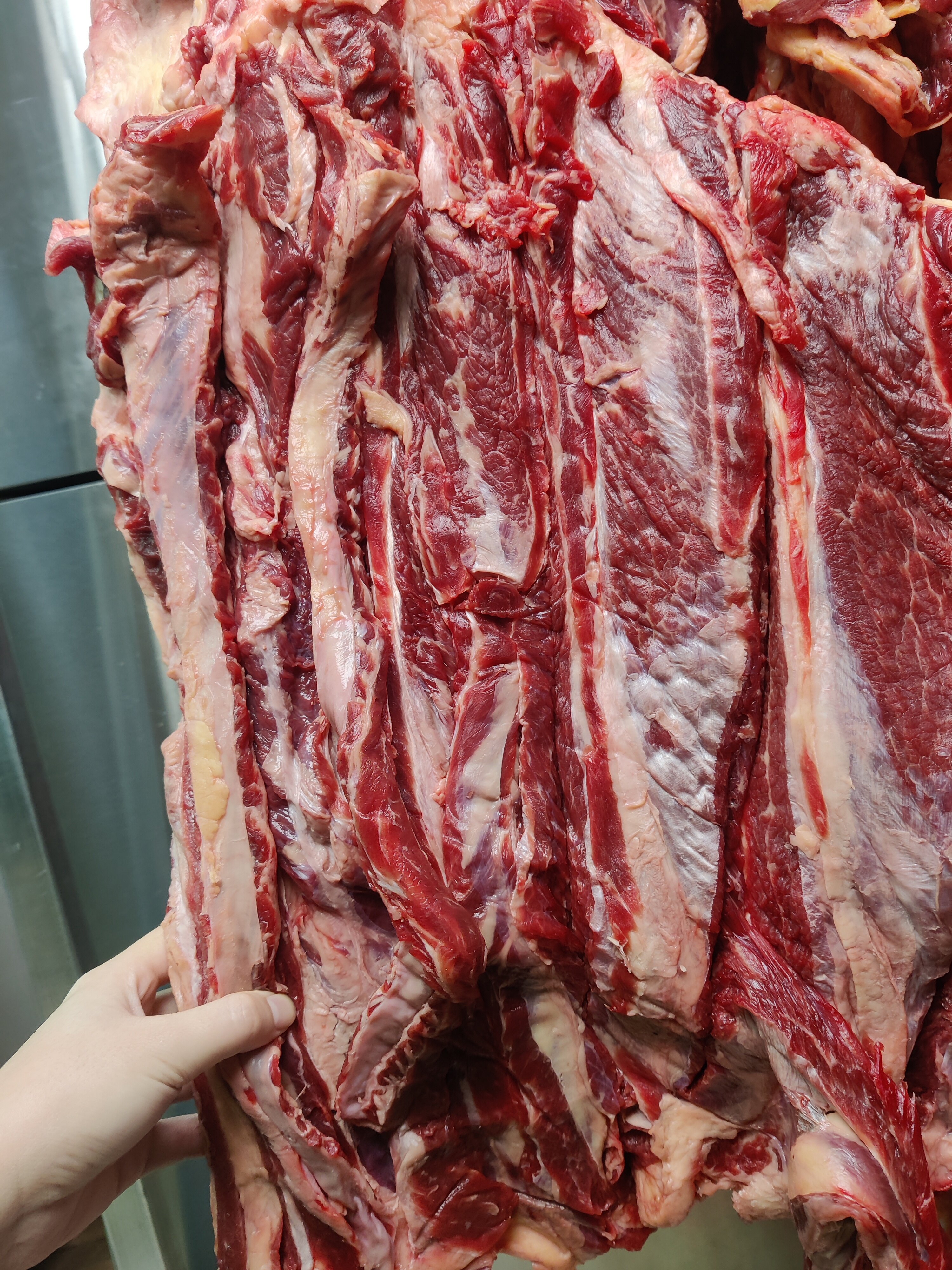 【原切0添加】冷鲜牛腩2500g 5斤家庭装 红烧炖卤皆宜