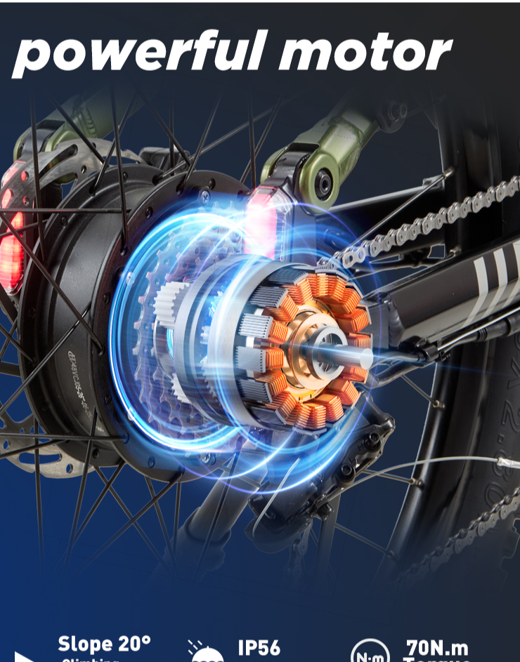 Internal Gear Hub