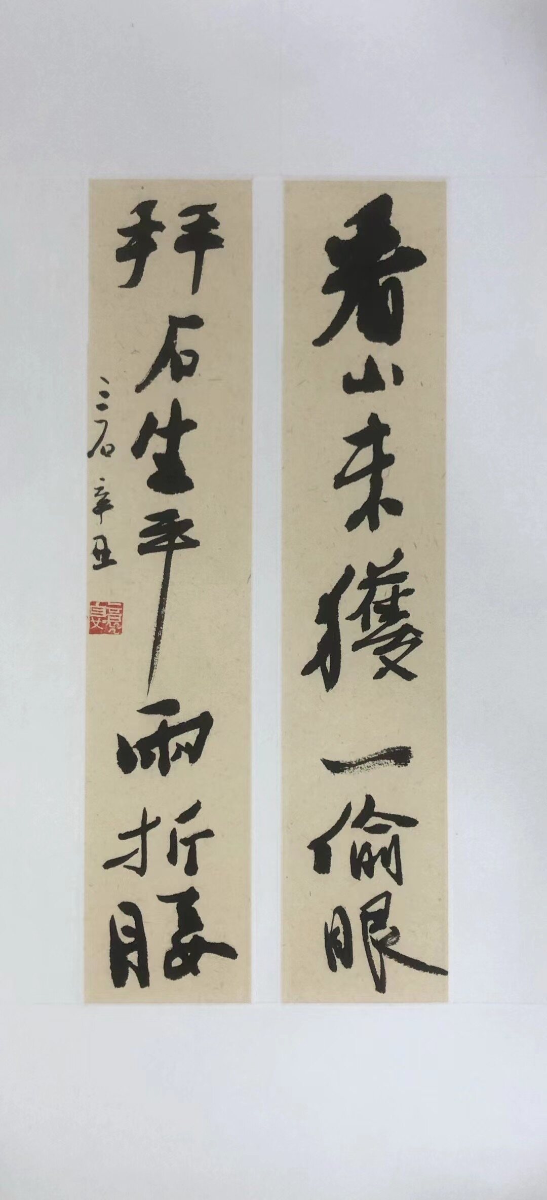看山未获一偷眼