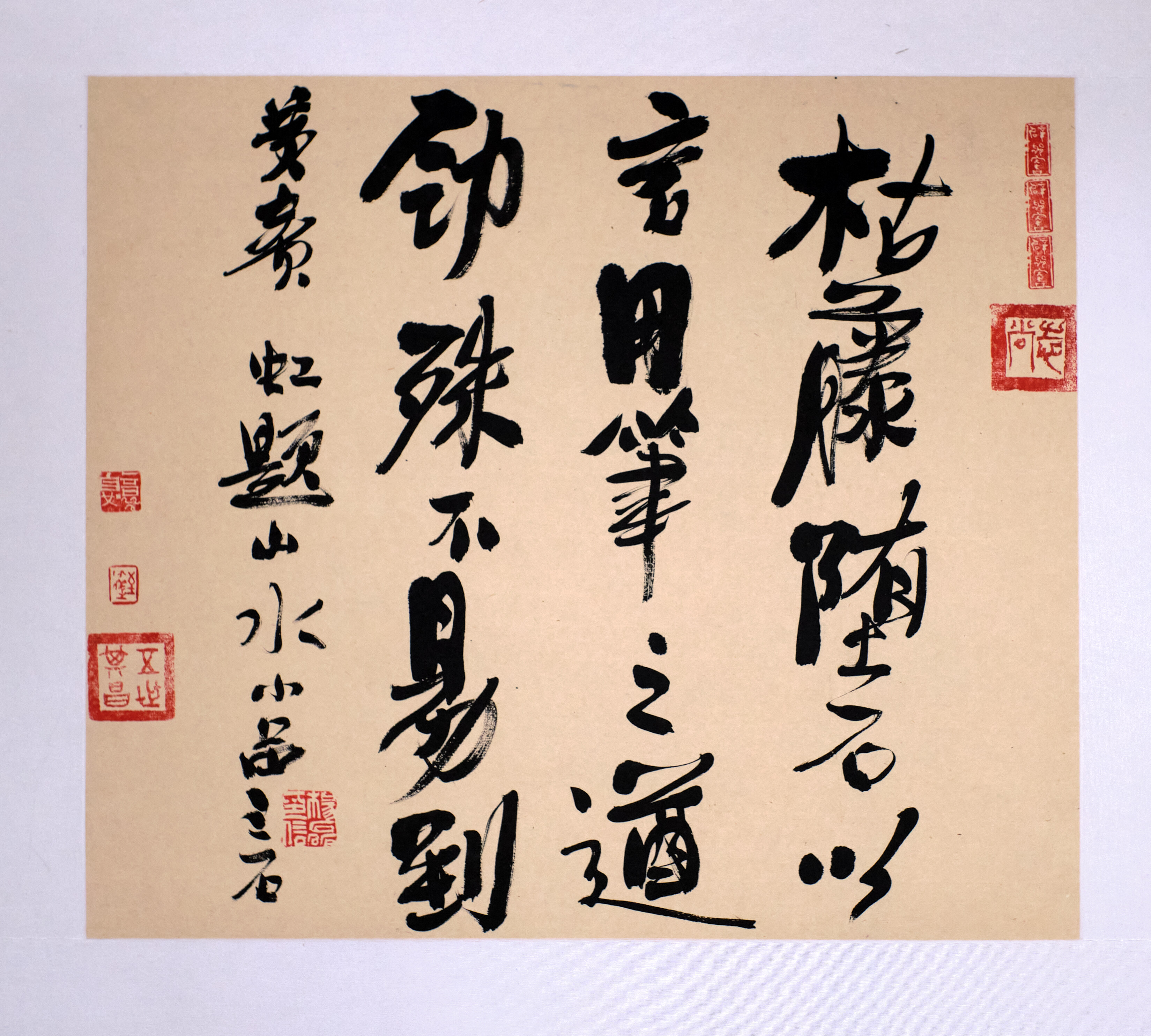 枯藤随石