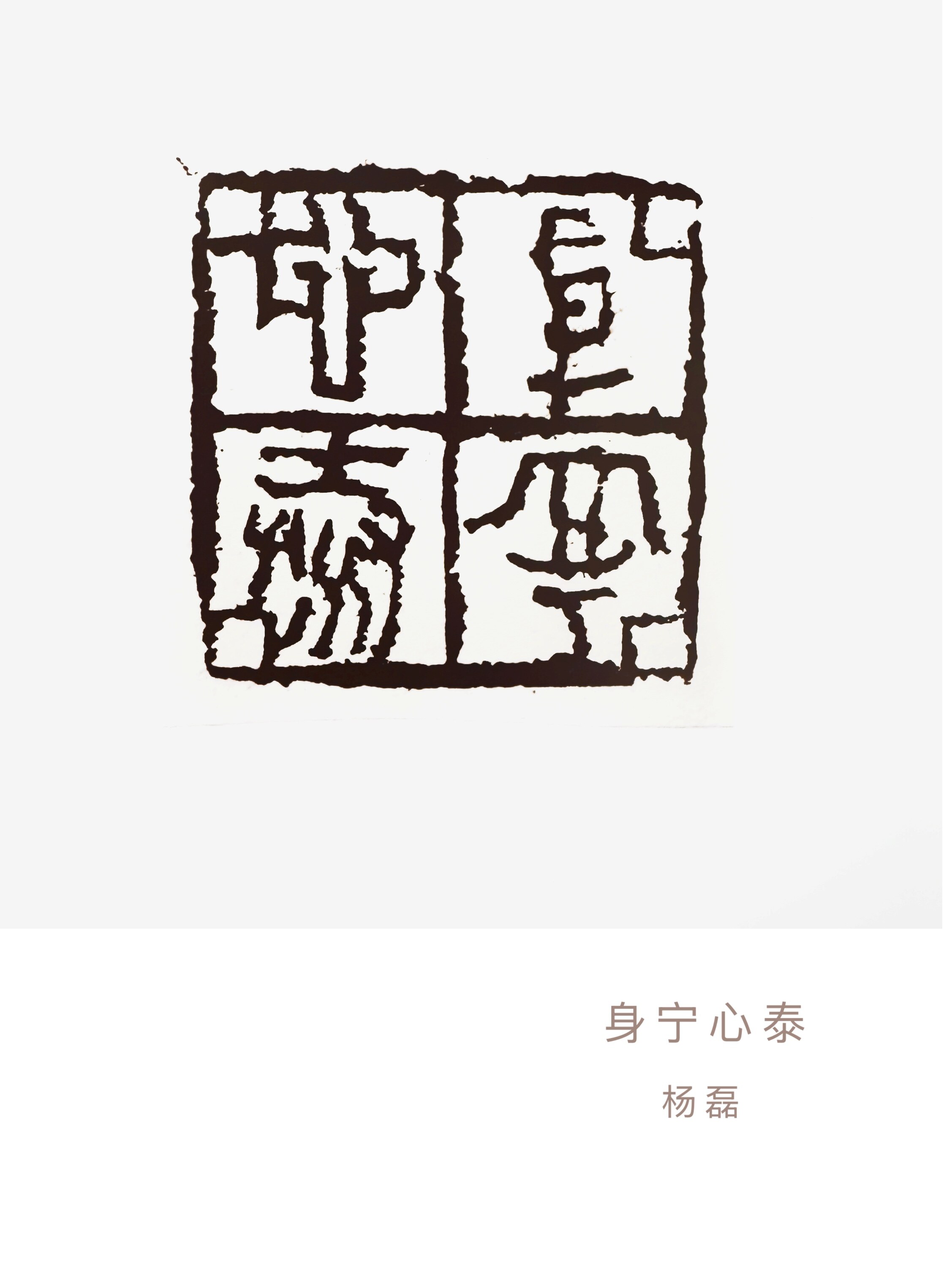 身宁心泰