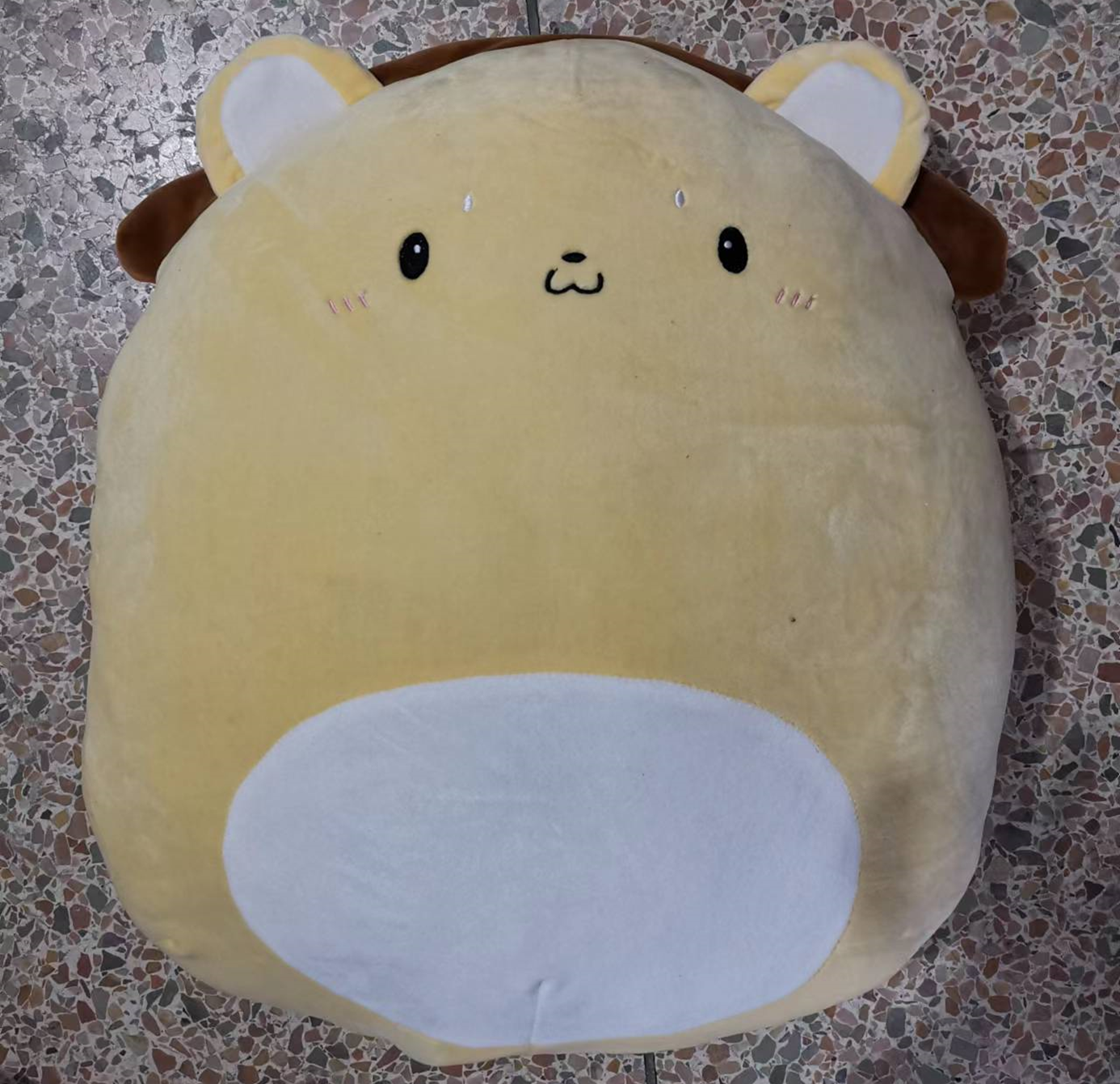 Headphone Dog Plush Pillow