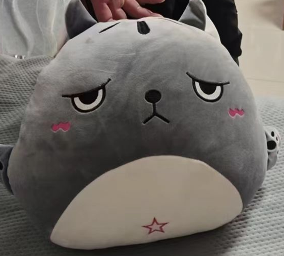 Angry Cat Plush Toy Blanket