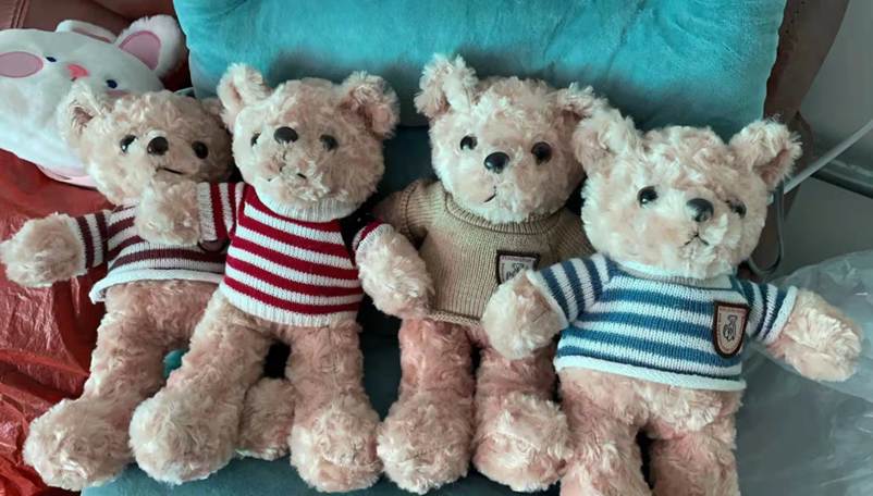 Clothed Teddy