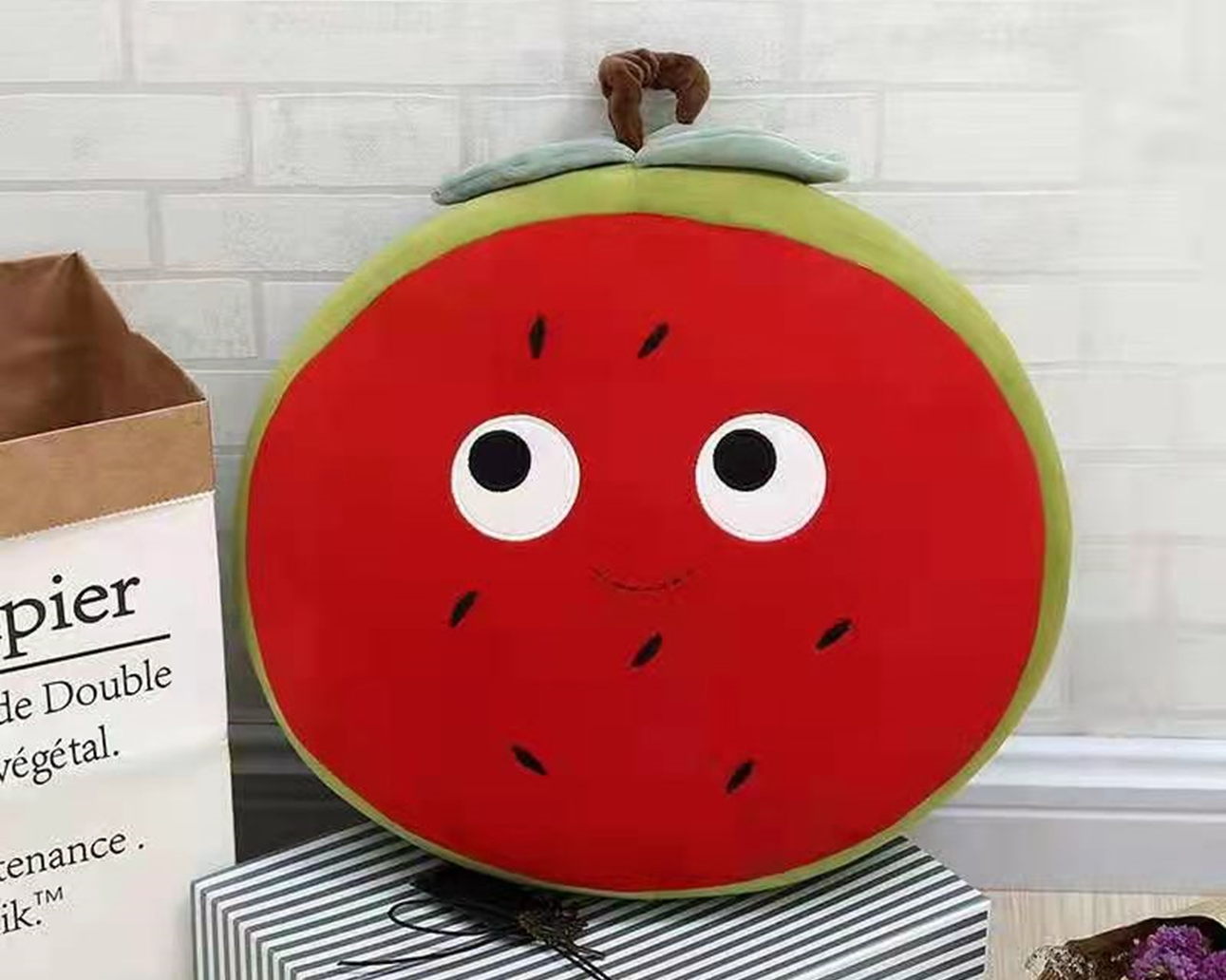 Moon Plush Pillow