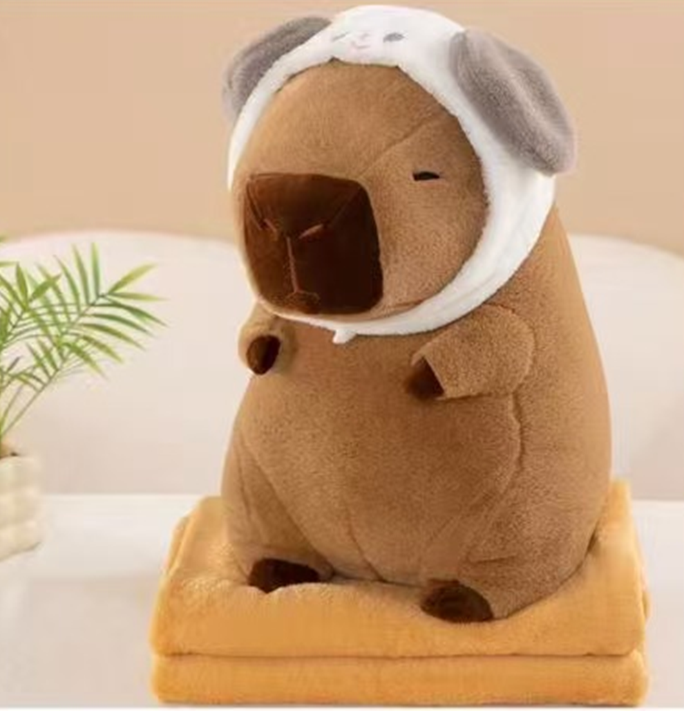 Classic Plush Toy Blanket