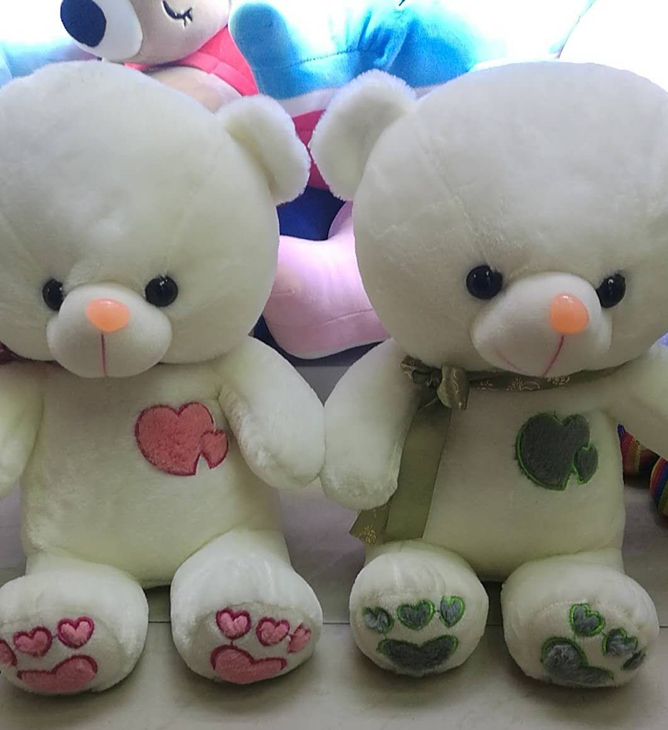 Matching Hearts Bear