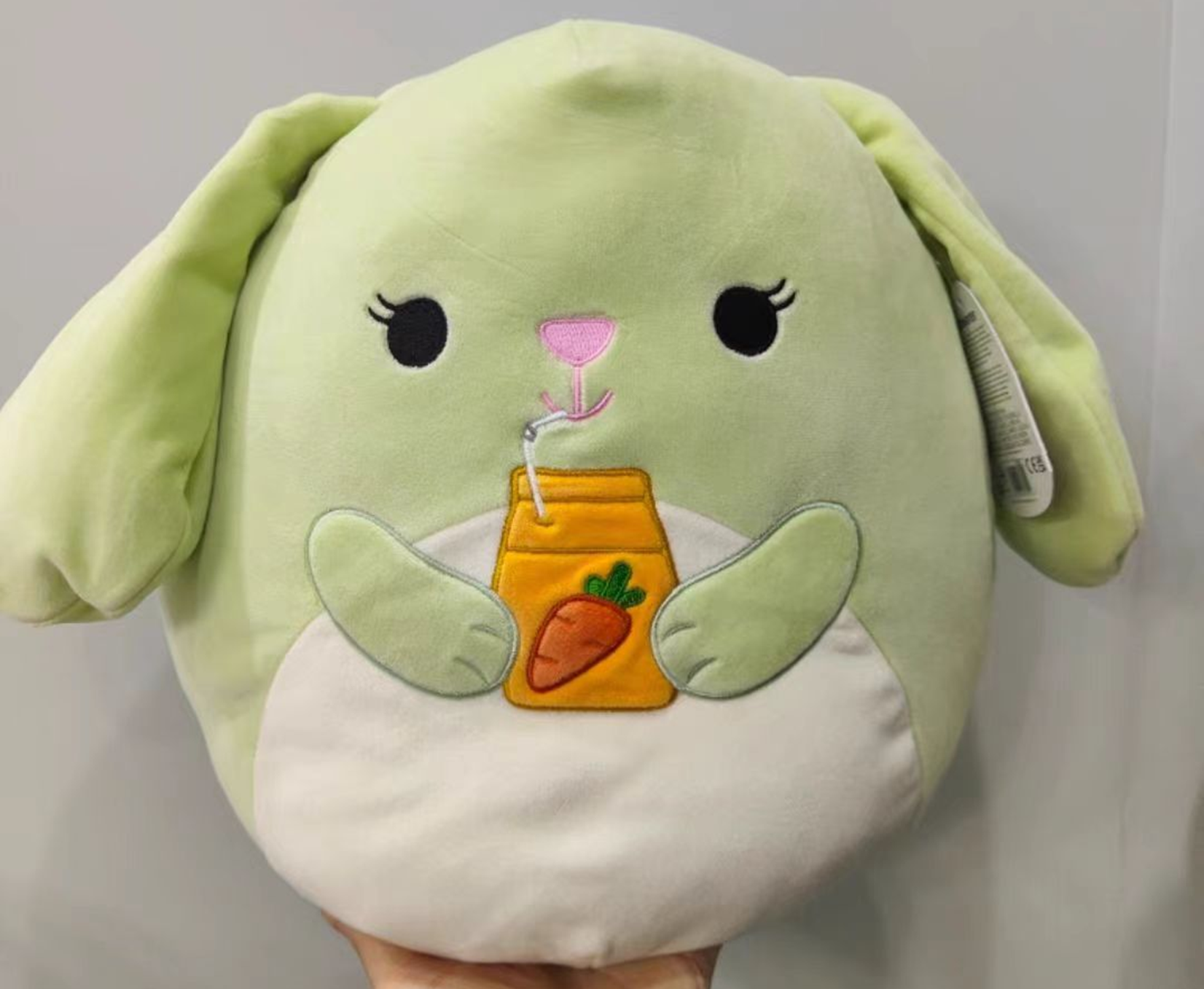 Beaver Plush Pillow