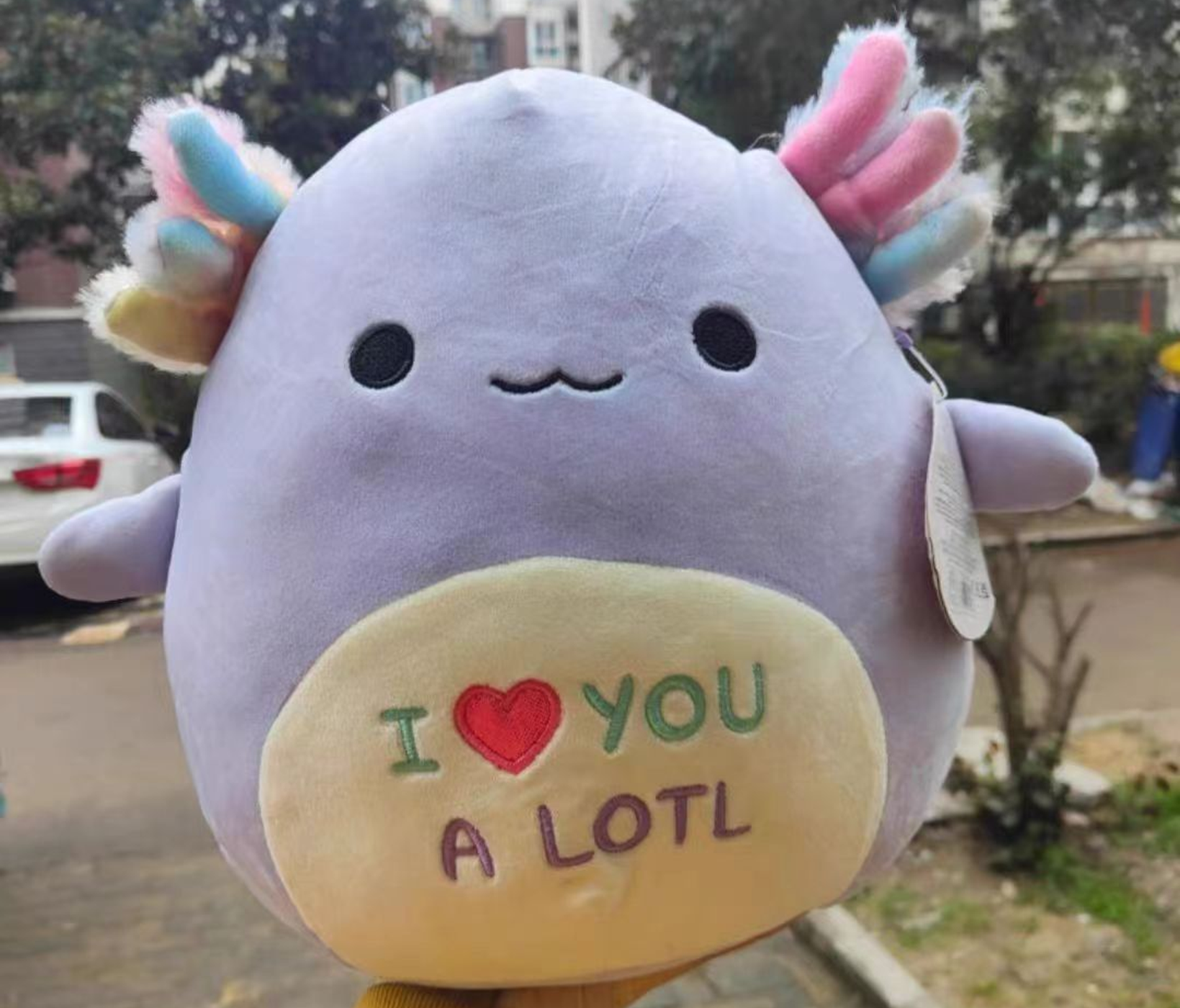 Forest Cute Pet Plush Pillow