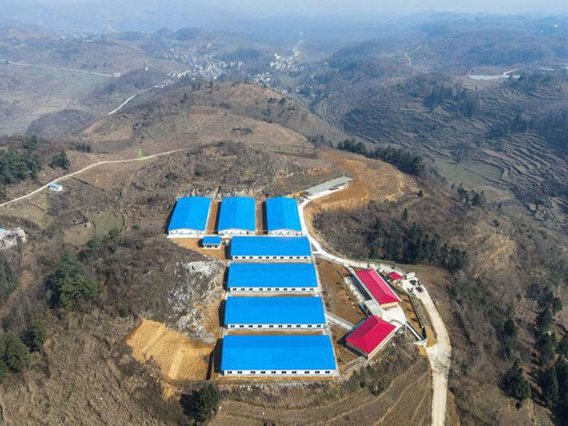 Livestock Farm in Bijie, Guangxi