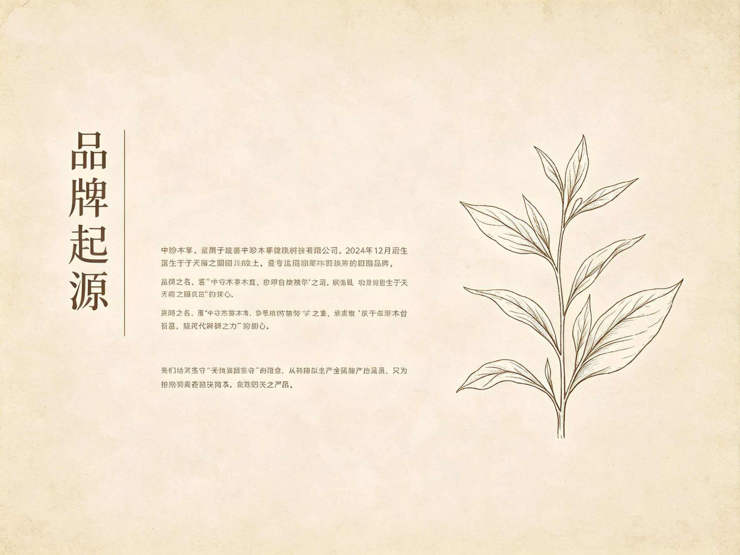 品牌故事
