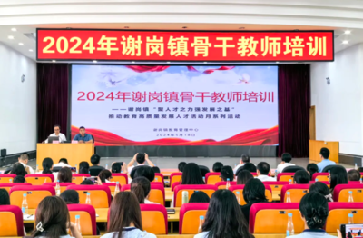 教师综合能力提升与关爱工程