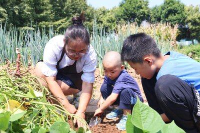 共享花园农场