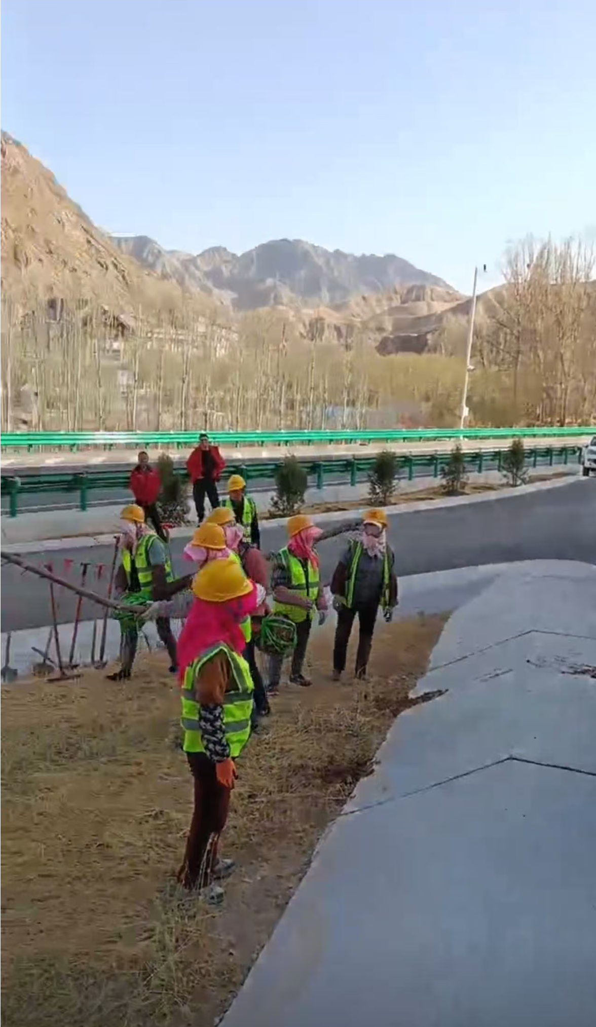 武仙高速路段绿化工程