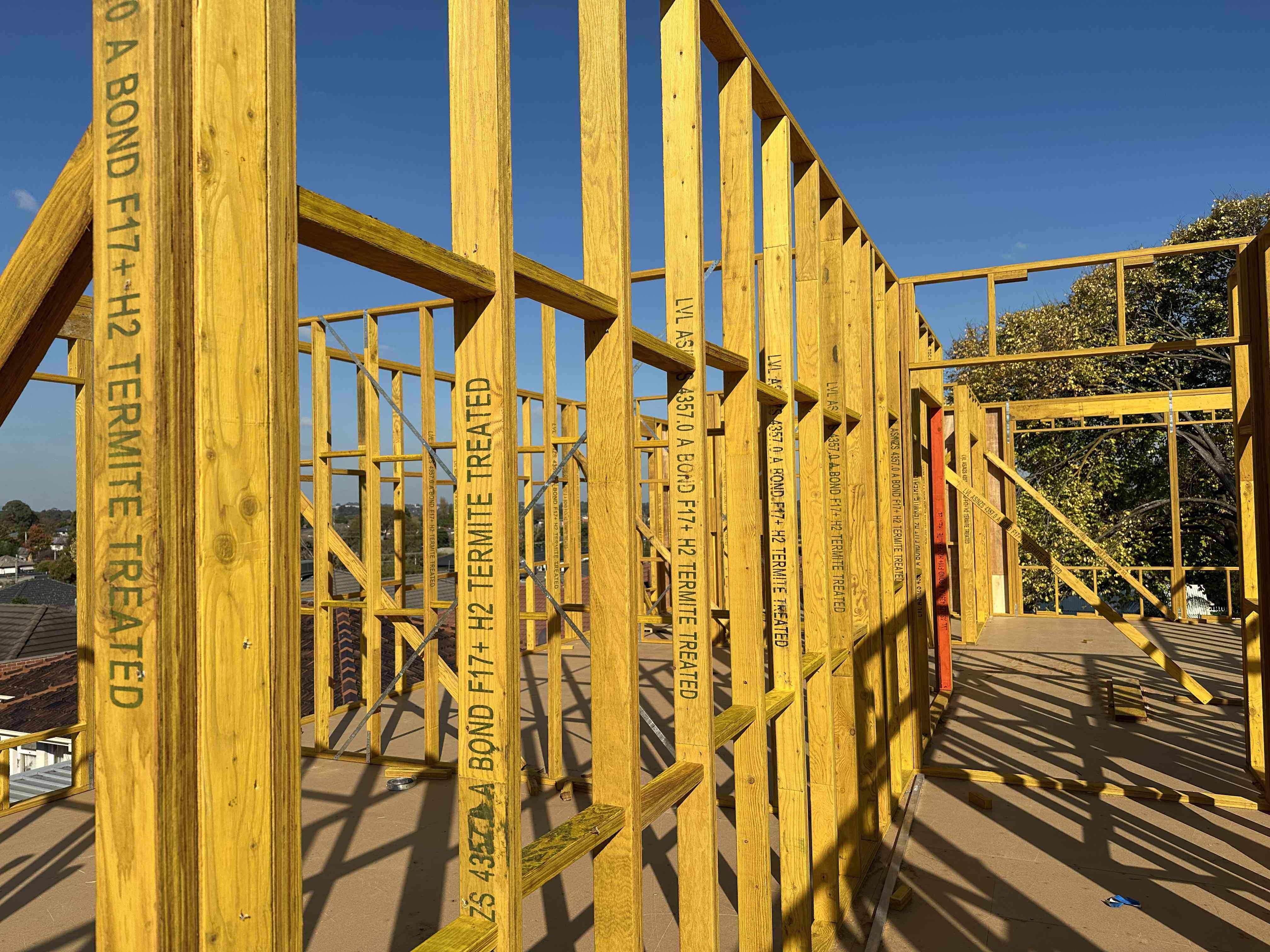 Structural LVL