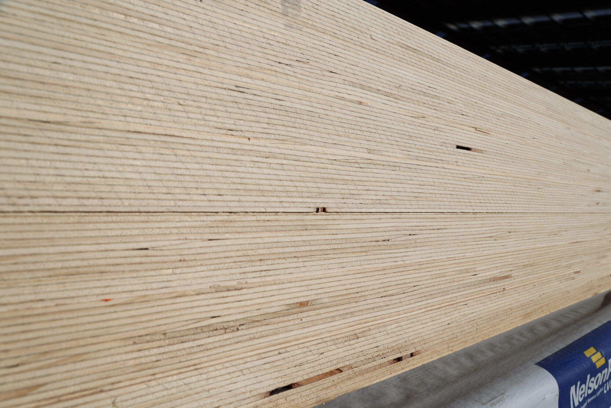 Poplar LVL