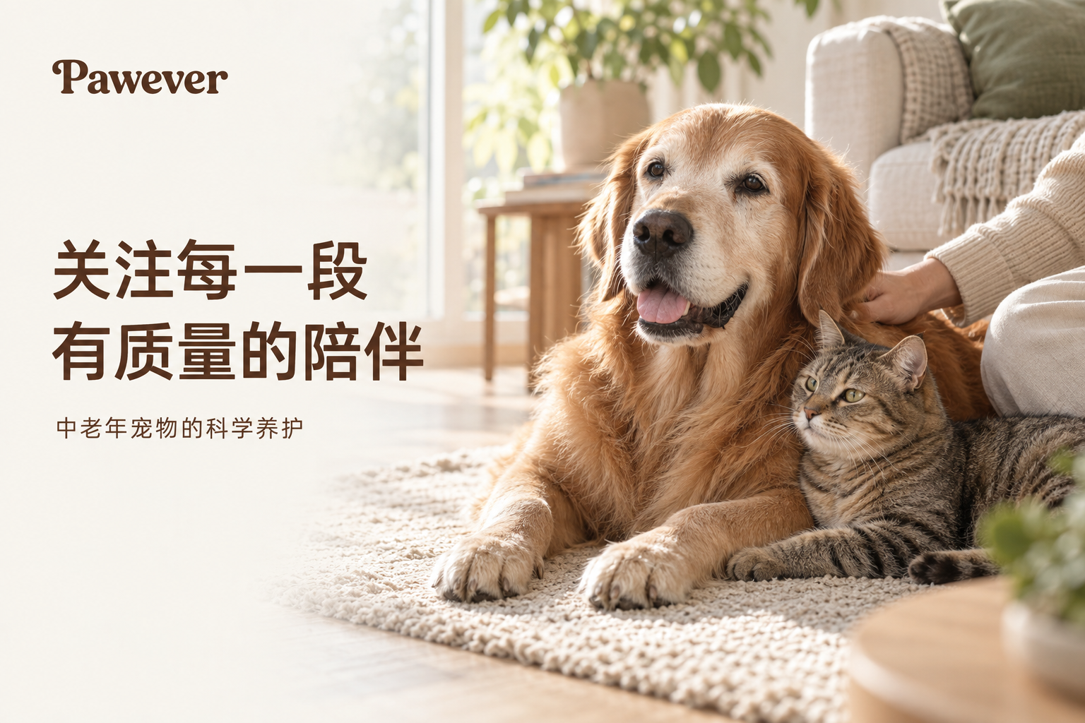 3000万只宠物正在变老！Pawever宠龄源上线，亮出衰老干预方案