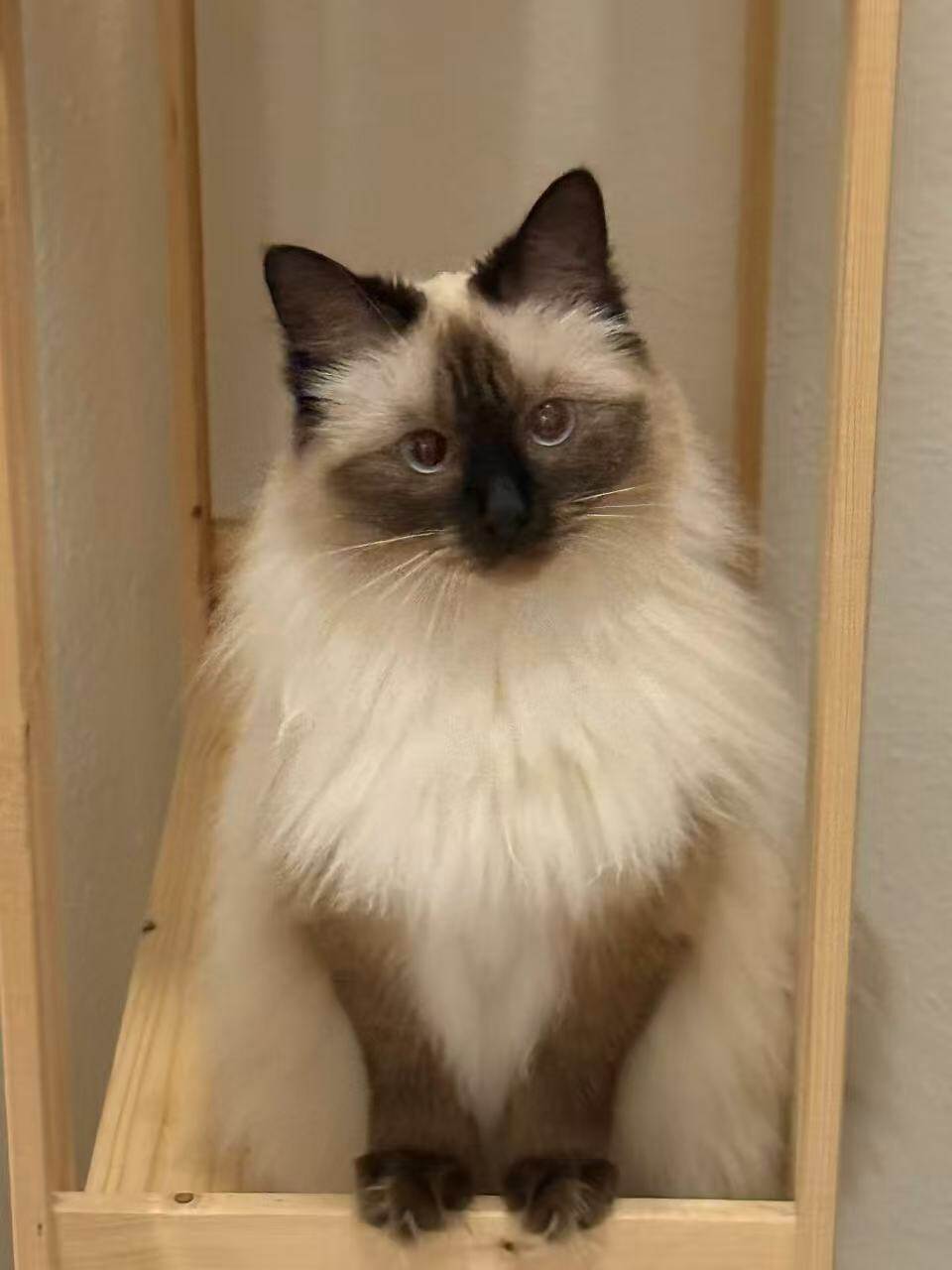 小蜗